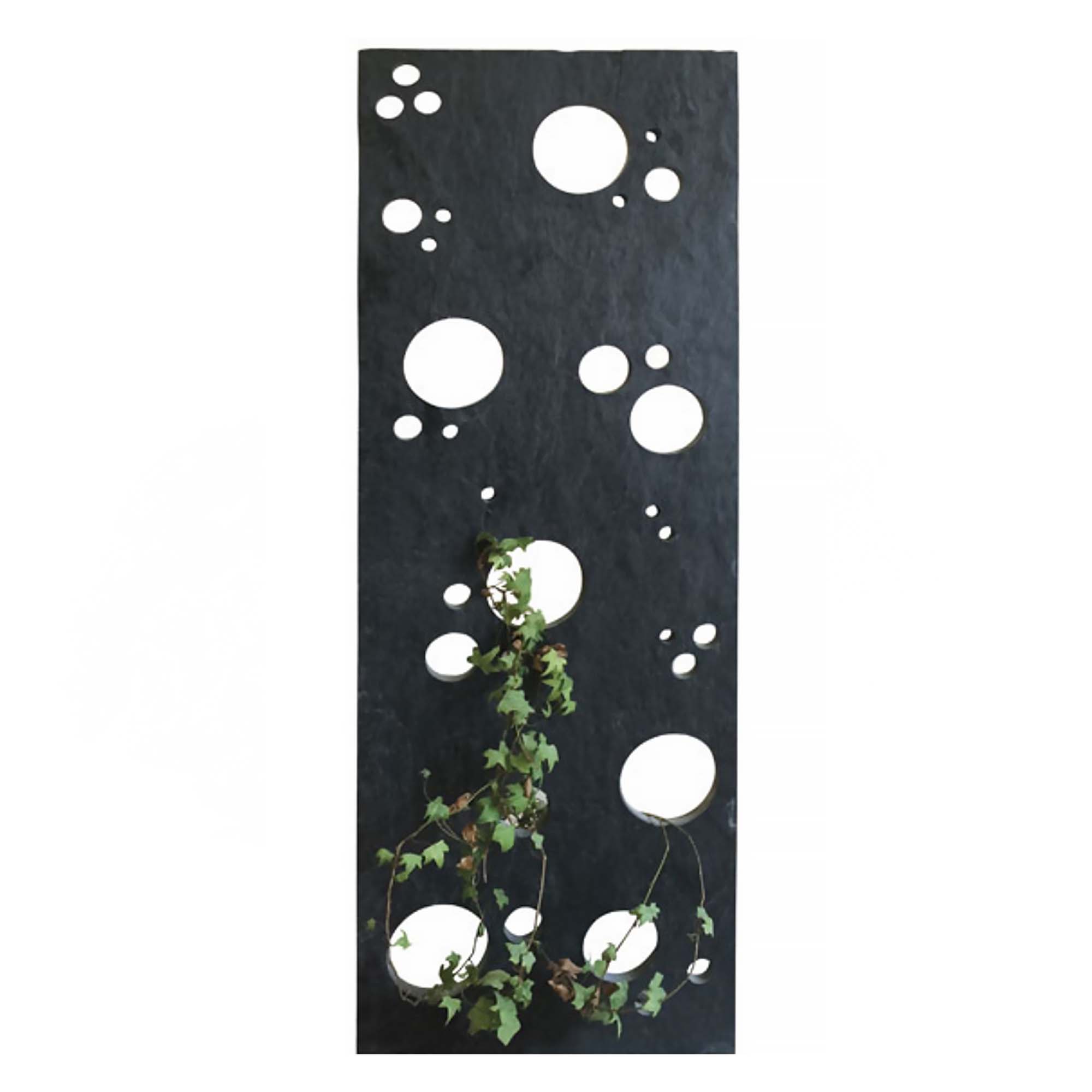 Okrasná deska břidlice 200 x 50 x 3-4 cm 1 ks